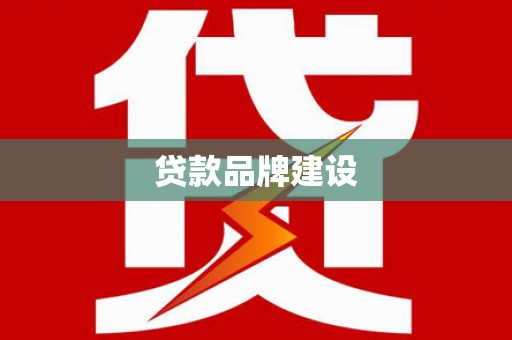 东丽贷款品牌建设
