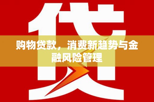 东丽购物贷款，消费新趋势与金融风险管理