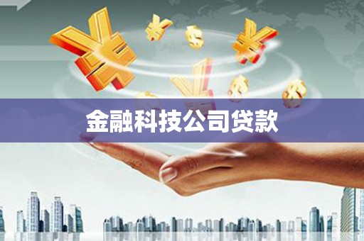 东丽金融科技公司贷款