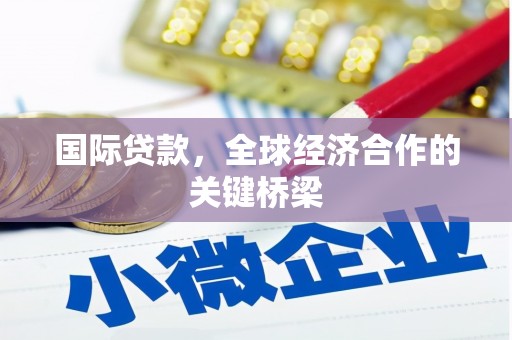 东丽国际贷款，全球经济合作的关键桥梁
