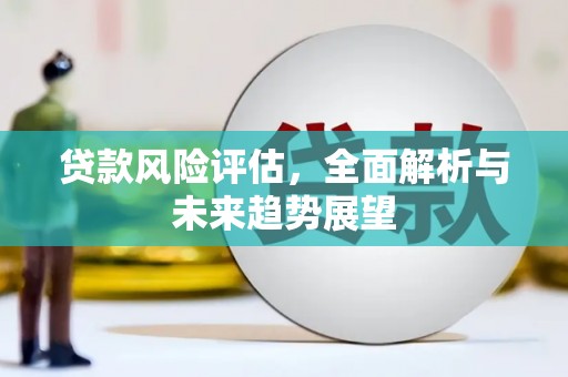 东丽贷款风险评估，全面解析与未来趋势展望
