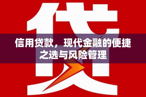 东丽信用贷款，现代金融的便捷之选与风险管理
