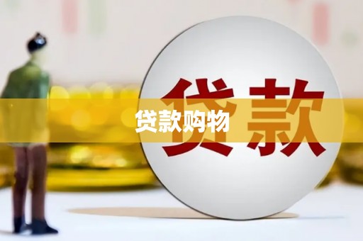 东丽贷款购物