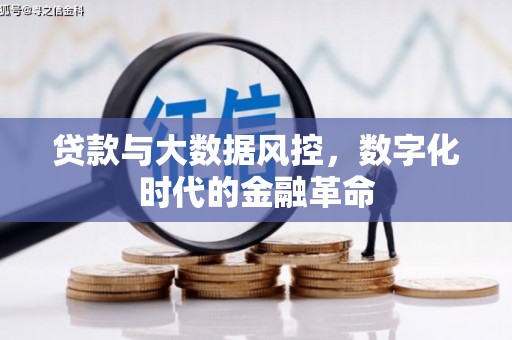 东丽贷款与大数据风控，数字化时代的金融革命