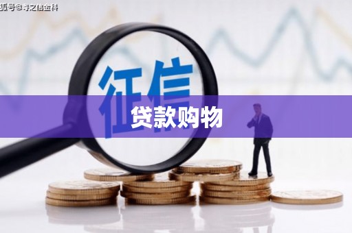 东丽贷款购物