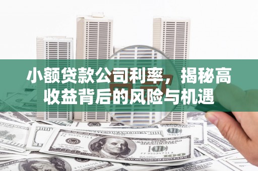 东丽小额贷款公司利率，揭秘高收益背后的风险与机遇