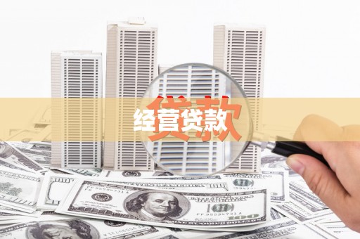 东丽经营贷款