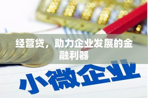 东丽经营贷，助力企业发展的金融利器