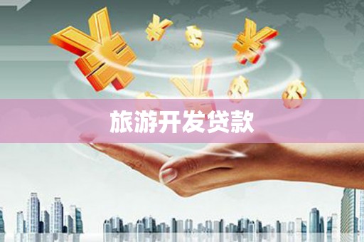 东丽旅游开发贷款