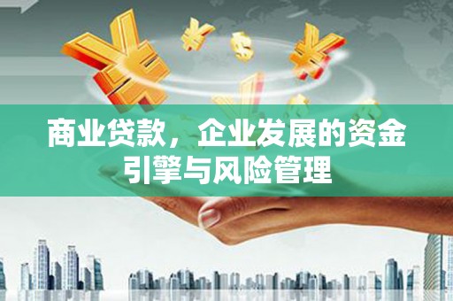 东丽商业贷款，企业发展的资金引擎与风险管理