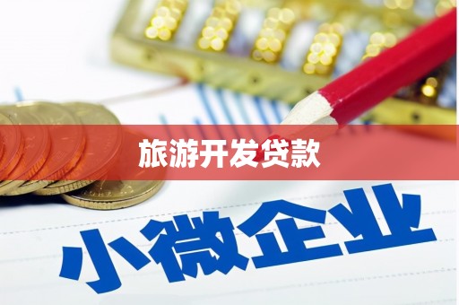 东丽旅游开发贷款