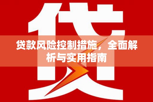 东丽贷款风险控制措施，全面解析与实用指南