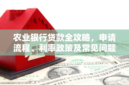 东丽农业银行贷款全攻略，申请流程、利率政策及常见问题解析