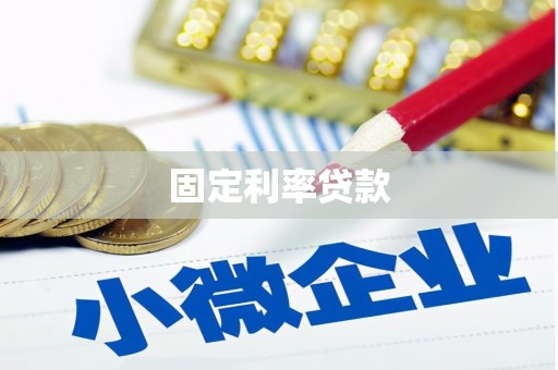东丽固定利率贷款