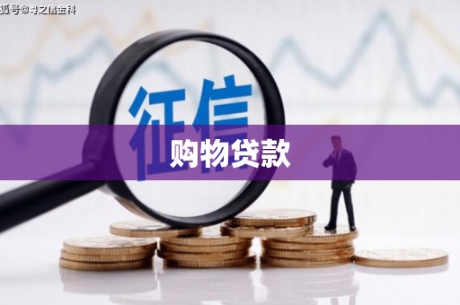 东丽购物贷款