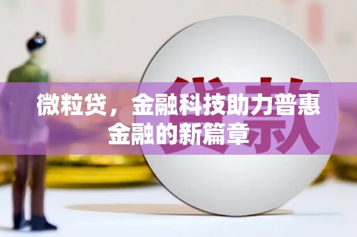 东丽微粒贷，金融科技助力普惠金融的新篇章