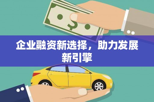 东丽企业融资新选择，助力发展新引擎
