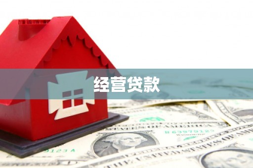 东丽经营贷款