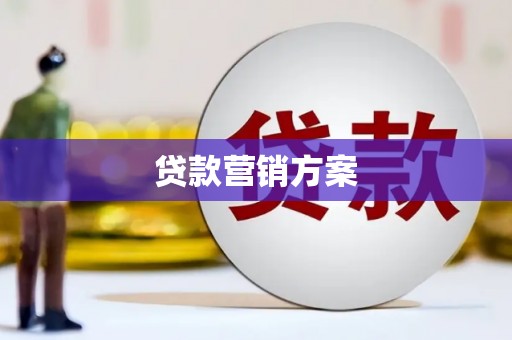 东丽贷款营销方案