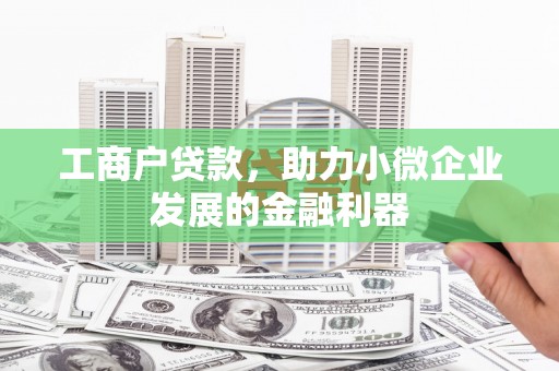 东丽工商户贷款，助力小微企业发展的金融利器