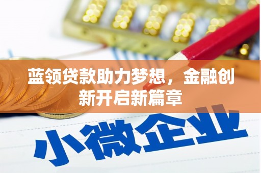 东丽蓝领贷款助力梦想，金融创新开启新篇章