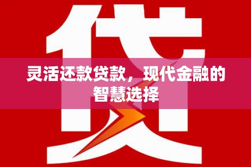 东丽灵活还款贷款，现代金融的智慧选择