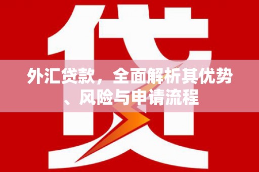 东丽外汇贷款，全面解析其优势、风险与申请流程