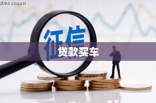 东丽贷款买车
