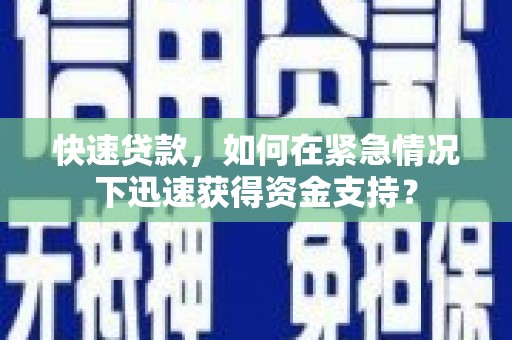 东丽快速贷款，如何在紧急情况下迅速获得资金支持？