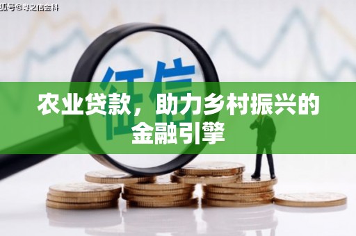 东丽农业贷款，助力乡村振兴的金融引擎