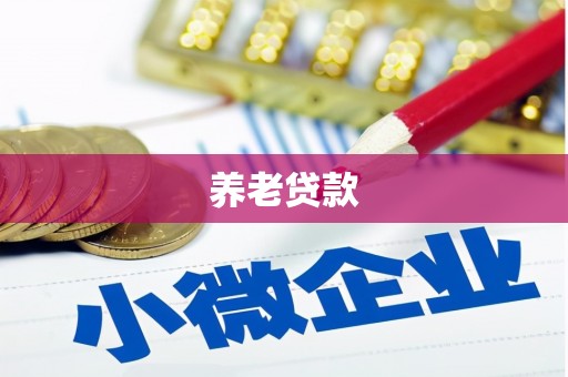 东丽养老贷款