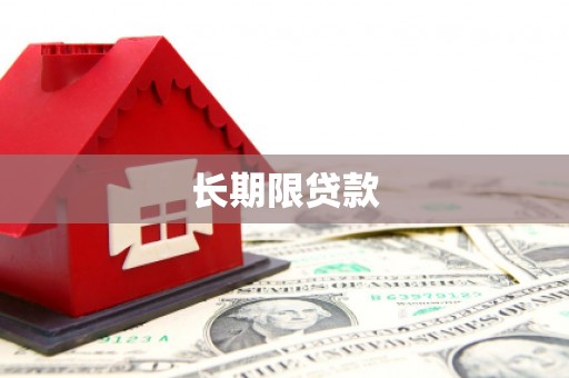东丽长期限贷款