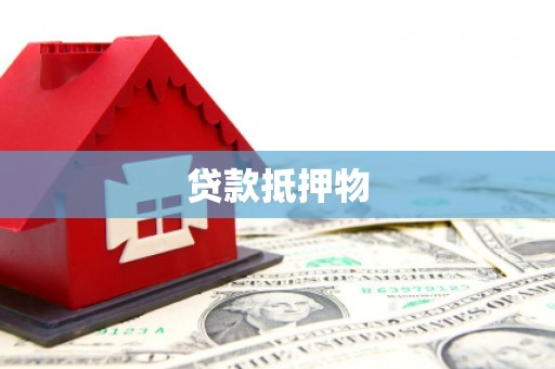 东丽贷款抵押物