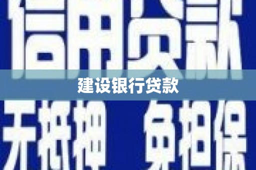 东丽建设银行贷款