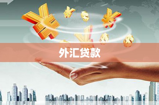 东丽外汇贷款