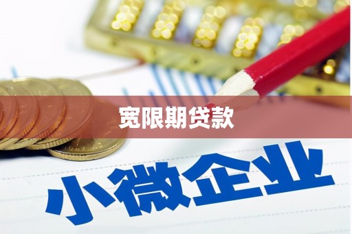东丽宽限期贷款