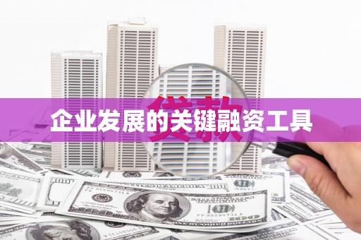 东丽企业发展的关键融资工具