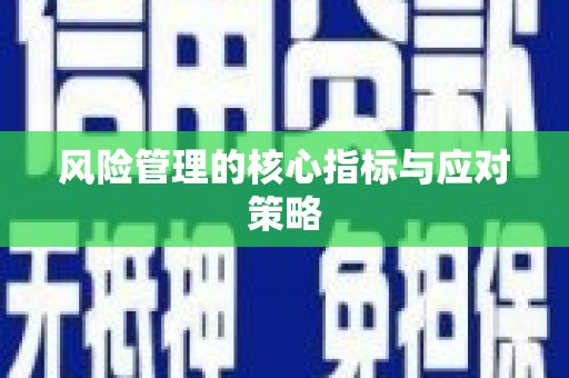 东丽风险管理的核心指标与应对策略