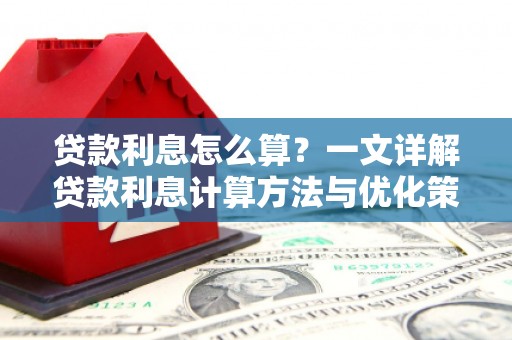 东丽贷款利息怎么算？一文详解贷款利息计算方法与优化策略