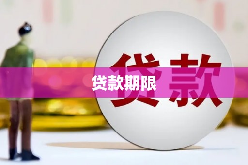 东丽贷款期限