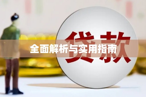 东丽全面解析与实用指南