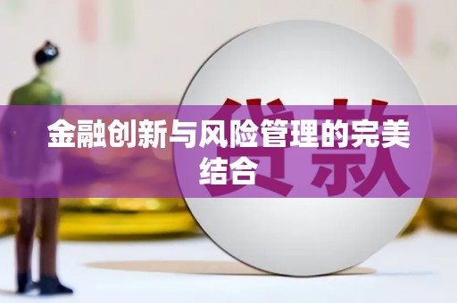 东丽金融创新与风险管理的完美结合