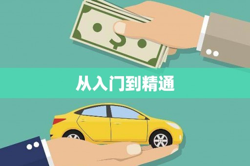 东丽从入门到精通