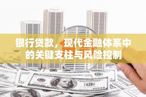 东丽银行贷款，现代金融体系中的关键支柱与风险控制