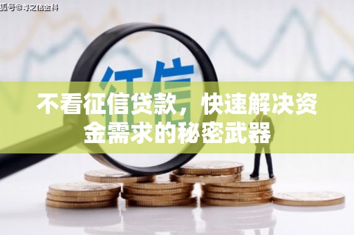东丽不看征信贷款，快速解决资金需求的秘密武器