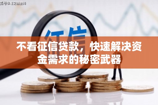 东丽不看征信贷款，快速解决资金需求的秘密武器