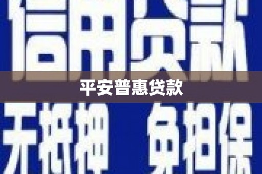 东丽平安普惠贷款