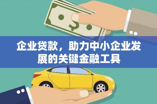 东丽企业贷款，助力中小企业发展的关键金融工具