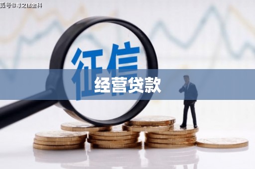 东丽经营贷款