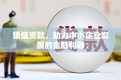 东丽银盛贷款，助力中小企业发展的金融利器
